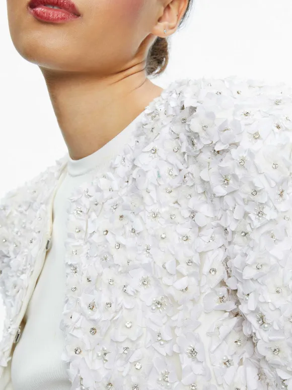 Domenica Embellished Mini Gown + Lorna Embellished Cropped Jacket