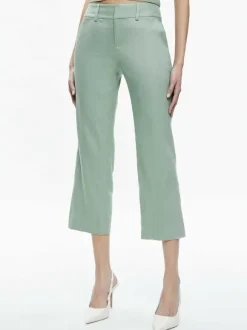 Janis Low Rise Cropped Flare Pant