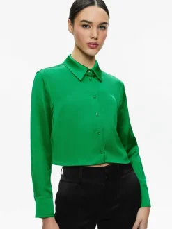Leon Cropped Button Down