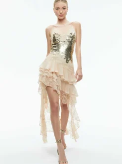Nelia Sequined High Low Ruffled Maxi Dress