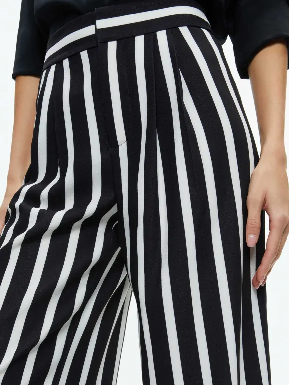 Pompey High Waisted Pleated Pants