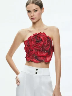 Randie Floral Applique Crop Top
