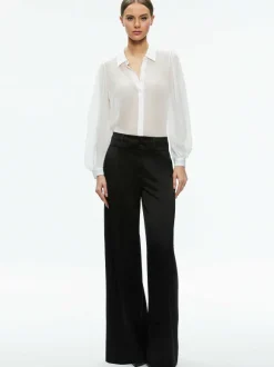 Roanne Sheer Blouse