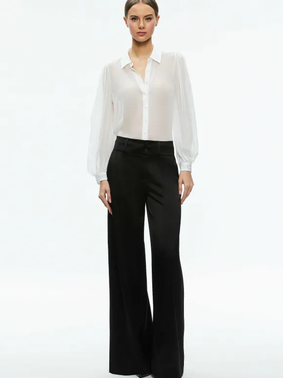 Roanne Sheer Blouse