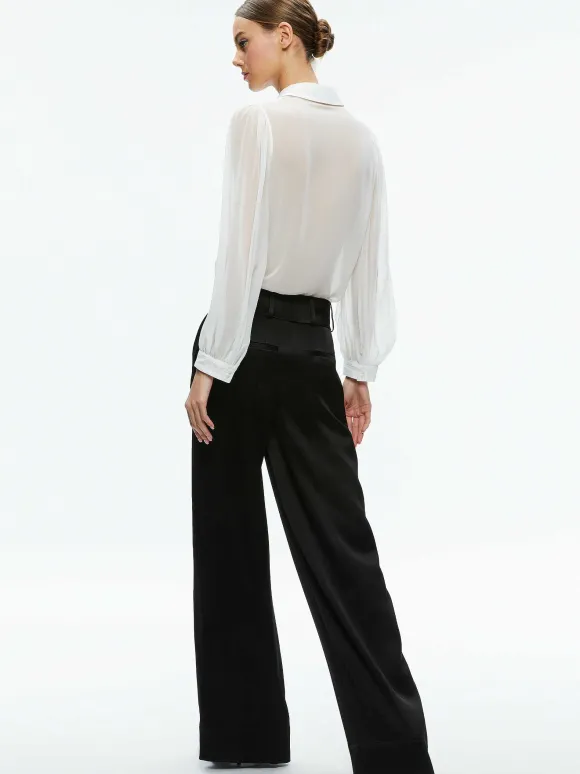 Roanne Sheer Blouse