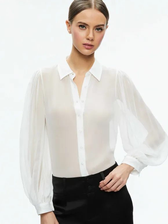 Roanne Sheer Blouse