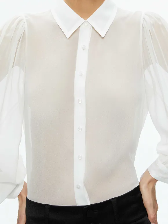 Roanne Sheer Blouse
