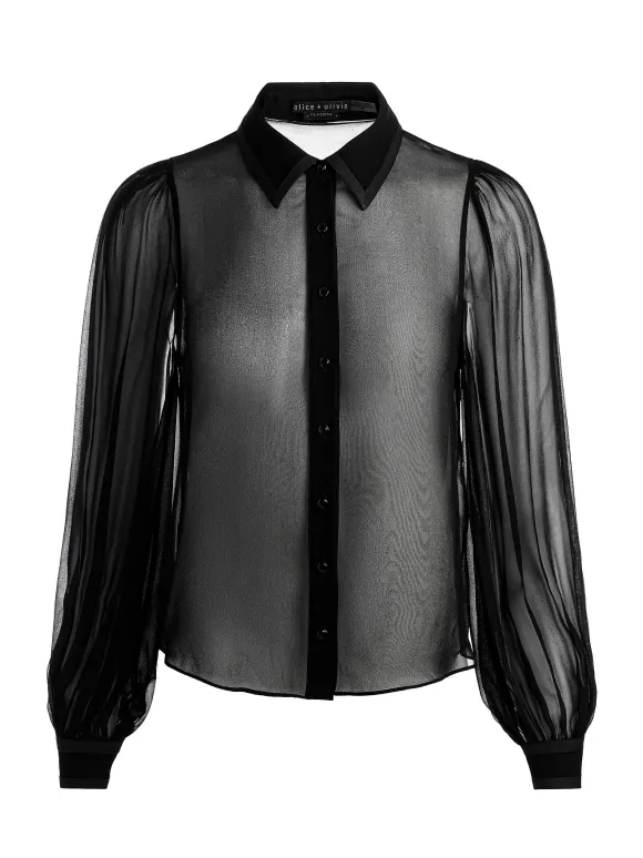 Roanne Sheer Blouse