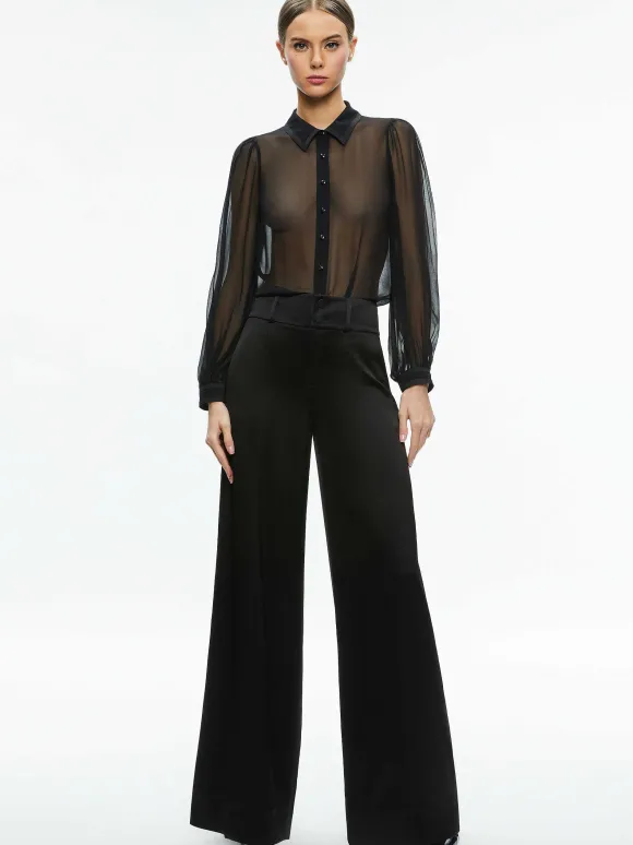 Roanne Sheer Blouse