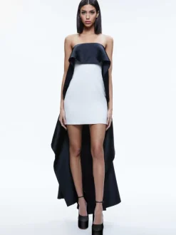 Theda Strapless High Low Dress