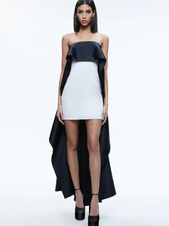 Theda Strapless High Low Dress