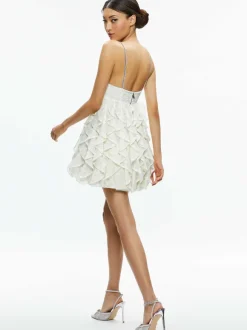 Wilmarie Embellished Lace Ruffle Mini Gown
