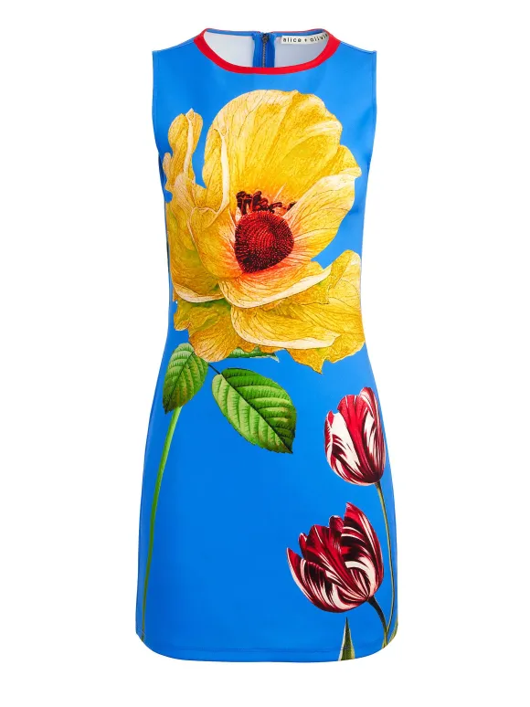 Wynell A-Line Mini Dress