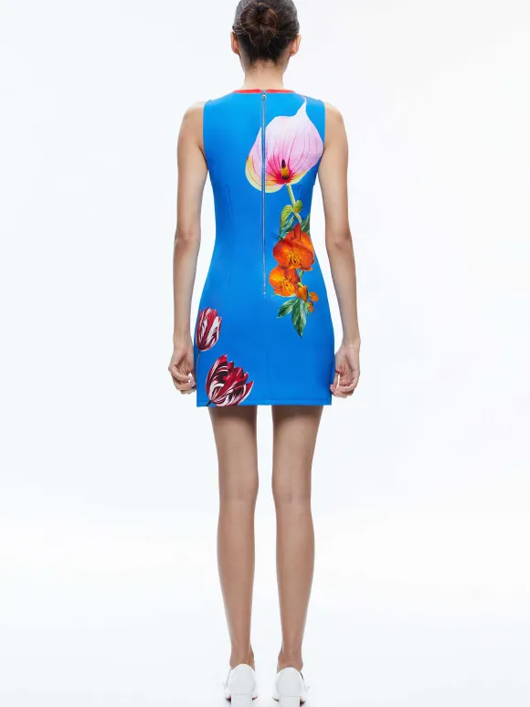 Wynell A-Line Mini Dress