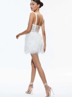 Xia Sheer Bustier Feathered Mini Dress