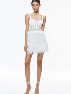 Xia Sheer Bustier Feathered Mini Dress