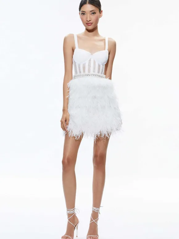 Xia Sheer Bustier Feathered Mini Dress