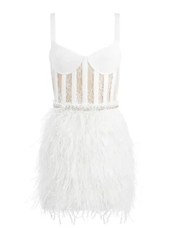 Xia Sheer Bustier Feathered Mini Dress