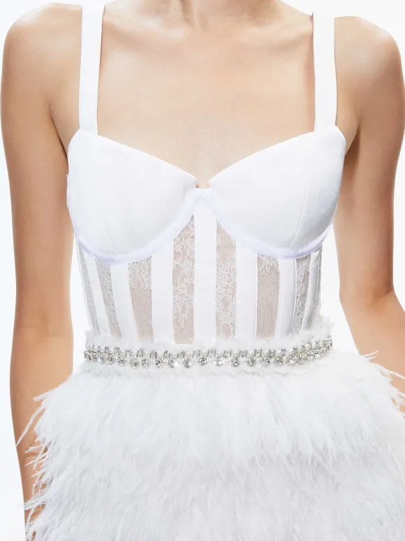 Xia Sheer Bustier Feathered Mini Dress